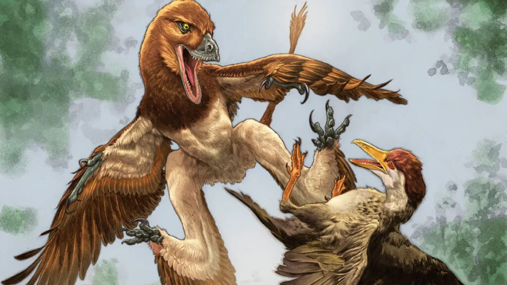 Trovati i resti di un enorme dinosauro con quattro ali che predava i primi uccelli 120 milioni di anni fa