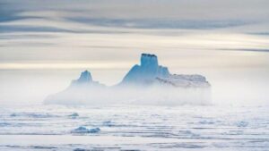 Gli iceberg stanno trasformando gli ecosistemi delle profondità marine, scoprono gli scienziati