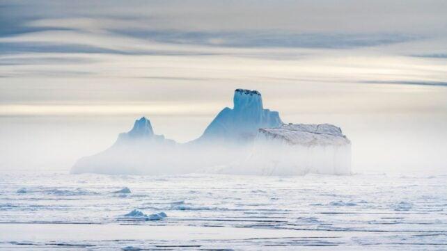 I ghiacciai della Groenlandia: 4 volte più iceberg in 25 anni