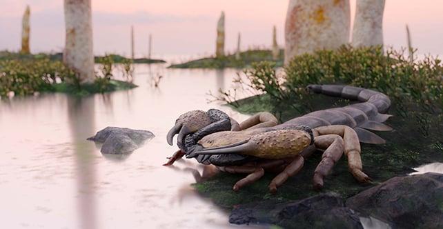 Praearcturus gigas
