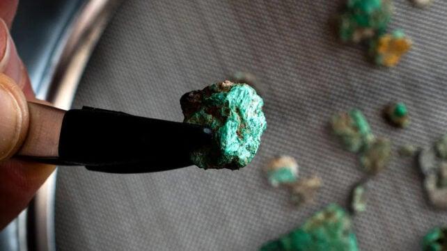 Caverna 338: Nuove Scoperte Archeologiche nei Pirenei