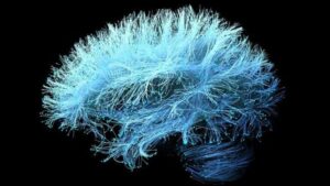 Un supplemento per il dolore articolare potrebbe accelerare la perdita di memoria dell'Alzheimer