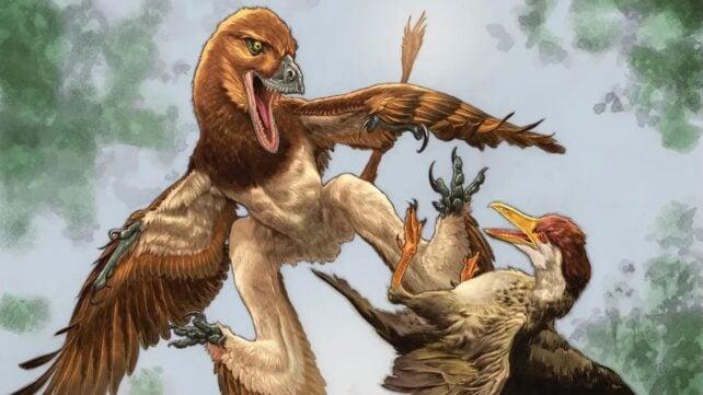 Scoperta di un Nuovo Dinosauro Carnivoro nel Bacino di Changma