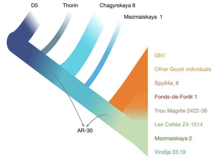 Gli ultimi Neanderthal in Europa erano geneticamente diversi
