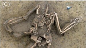 Quasi 80 scheletri umani senza testa scoperti in un inquietante sito dell'età della pietra