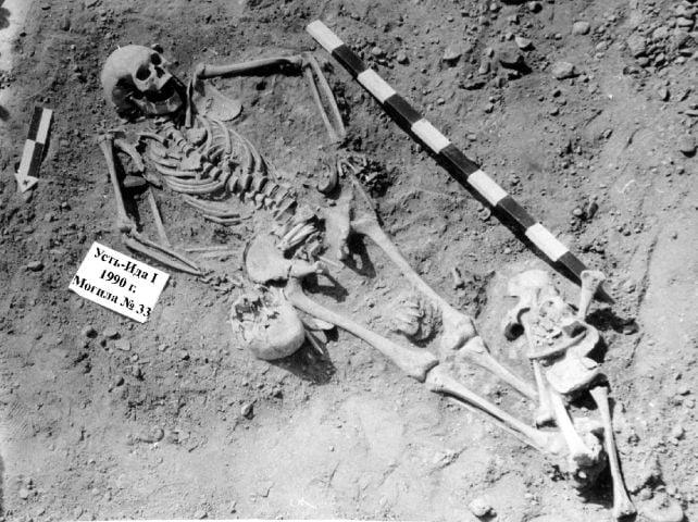 Il batterio della peste stava uccidendo i cacciatori-raccoglitori 5.500 anni fa