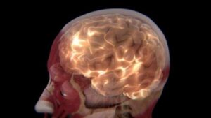 cervello che mostra luci