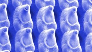 piastre di rame a freddo in primo piano