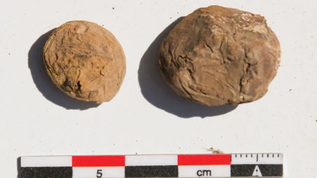 Archeologi riportano alla luce snack di patate risalenti a 500 anni fa