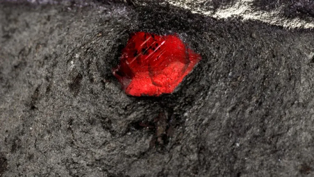 Gli scienziati hanno aperto un meteorite marziano facendo una grande sorpresa