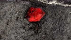 Gli scienziati hanno aperto un meteorite di Marte e hanno trovato una grande sorpresa
