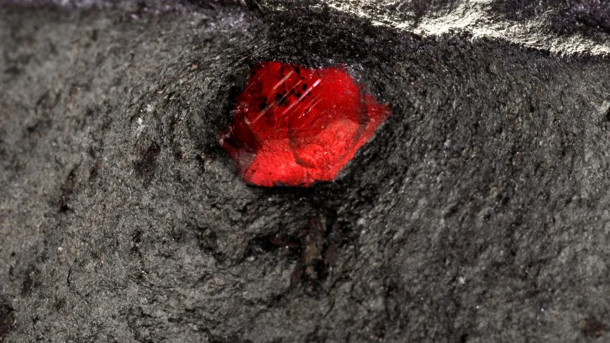 garnet.webp