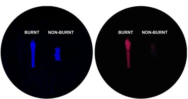 I nostri antenati umani potrebbero aver usato il fuoco molto prima di quanto pensassimo