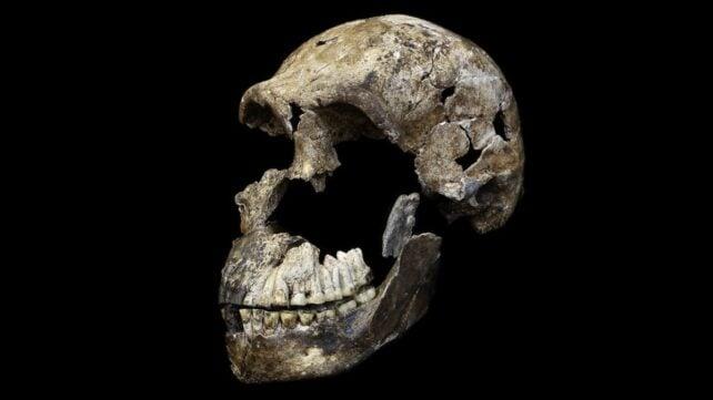 Homo naledi: Nuove scoperte sul sesso e rituali di sepoltura