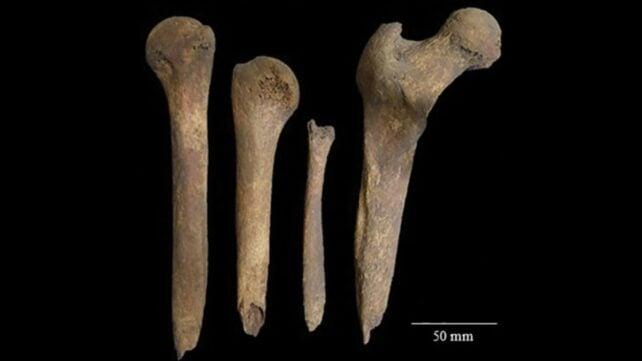 Qualcuno che è morto 2.000 anni fa ha avuto le ossa intagliate in strumenti