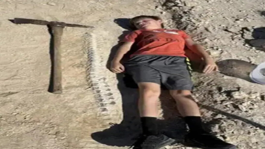 Ragazzo scopre i resti fossili di un raro rettile marino vissuto milioni di anni fa