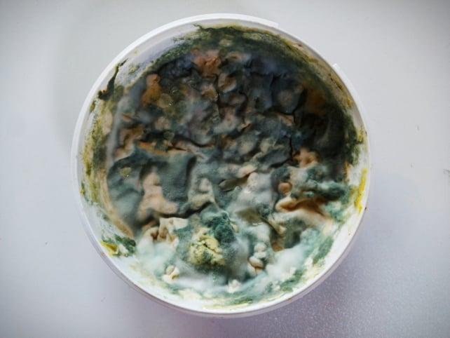 ciotola muffita