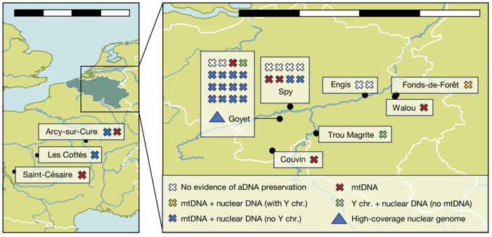 Gli ultimi Neanderthal in Europa erano geneticamente diversi