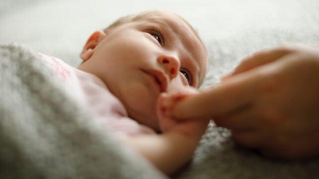 neonato tiene la mano