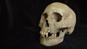 Il DNA rivela che un antico assassino era già mortale 5.500 anni fa