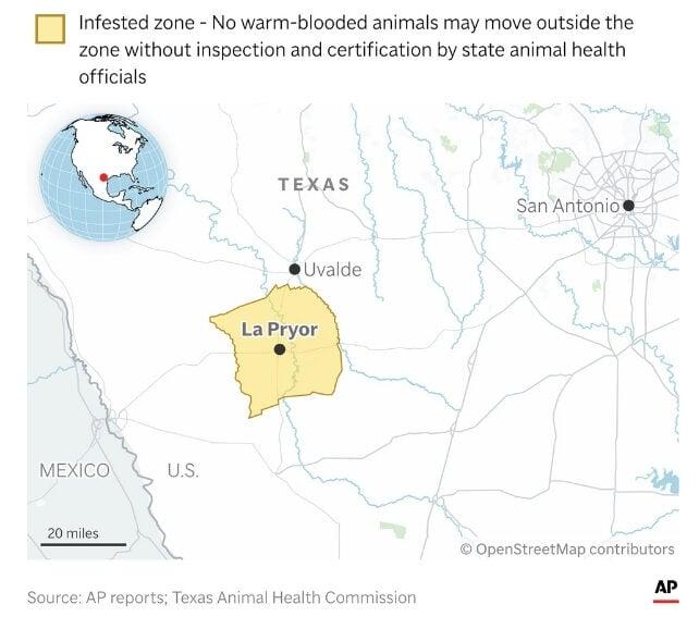 Il parassita mangiatore di carne torna in Texas per la prima volta in decenni