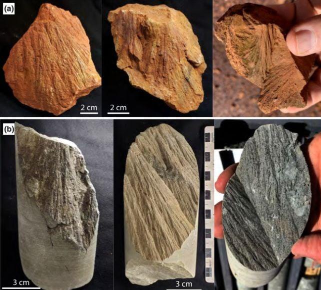 I geologi sono andati a cercare oro. Hanno trovato qualcosa di molto più raro.