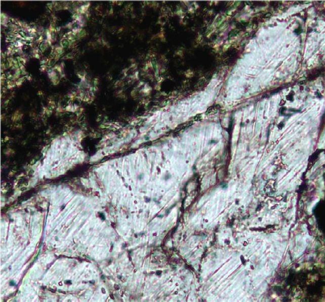 I geologi sono andati a cercare oro. Hanno trovato qualcosa di molto più raro.