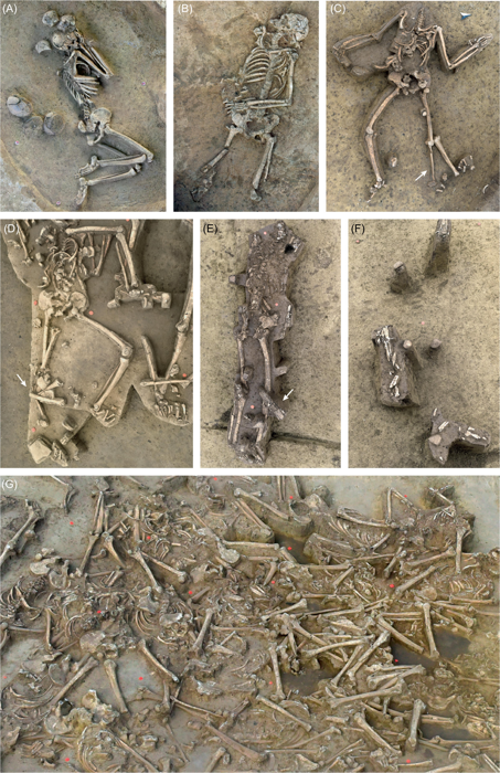 Gli archeologi hanno trovato quasi 80 scheletri umani senza testa in un inquietante insediamento dell'età della pietra