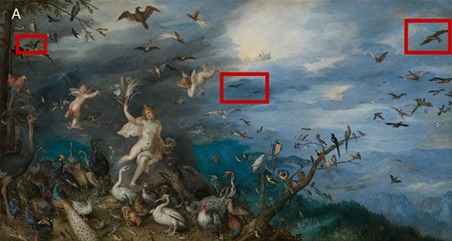 Un dipinto del XVII secolo ha rivelato sorprendenti abitudini alimentari degli uccelli da parte dei pipistrelli