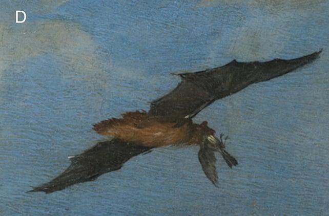 Un dipinto del XVII secolo ha rivelato sorprendenti abitudini alimentari degli uccelli da parte dei pipistrelli