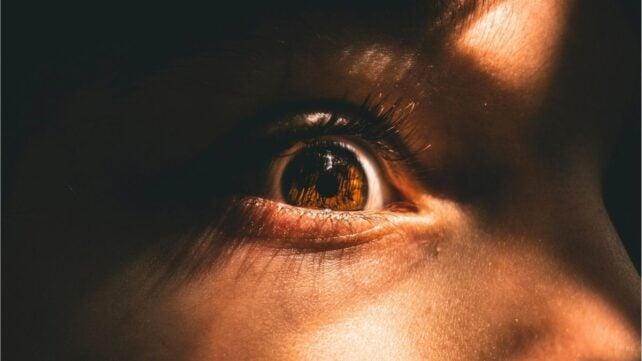 La Triade Oscura: Scopri il Nuovo Fattore D della Personalità