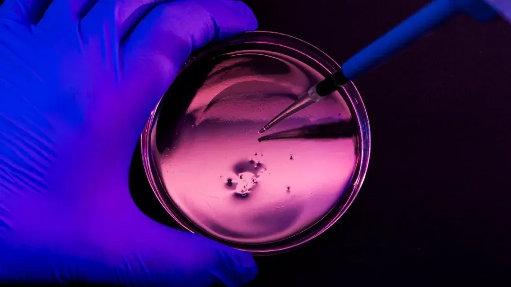 Un potente antibiotico sta perdendo la battaglia contro un pericoloso batterio ospedaliero