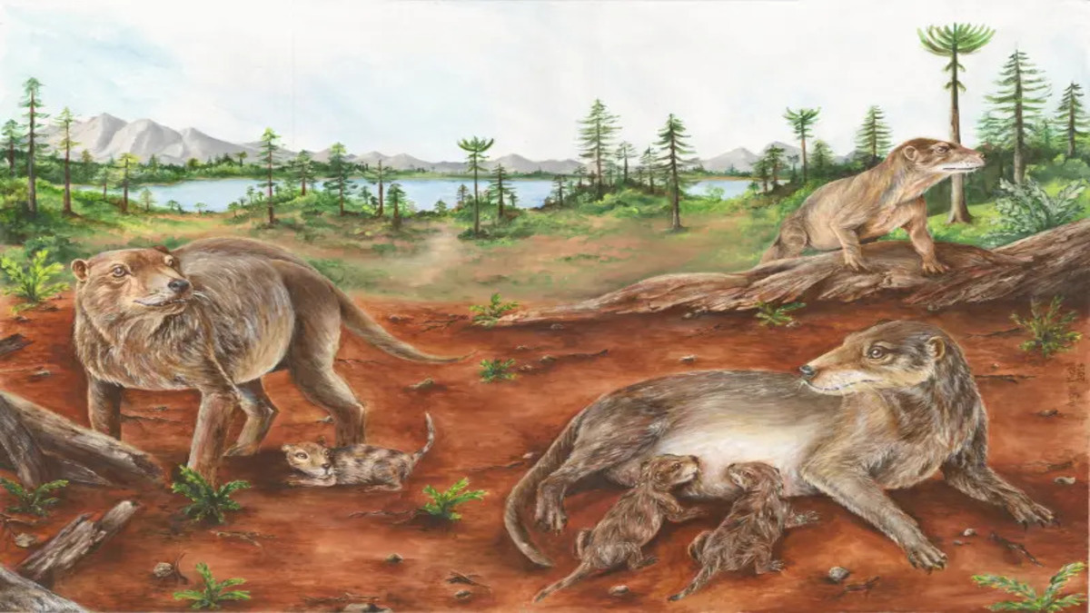 Un fossile di 236 milioni di anni fa potrebbe riscrivere la storia sull’evoluzione dei mammiferi