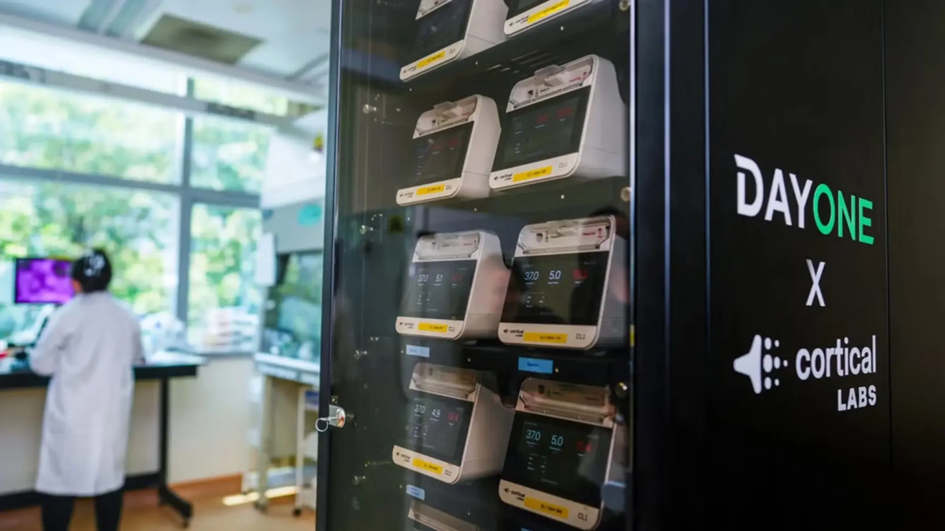 Singapore accende il primo data center con neuroni umani vivi