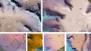 Scoperti i resti di una misteriosa e antica civiltà che viveva nella foresta amazzonica