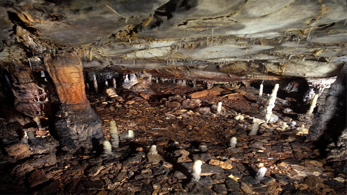 Una frana rivela l’ingresso di una grotta rimasta intatta per 17.000 anni. Ecco cosa hanno trovato gli esperti