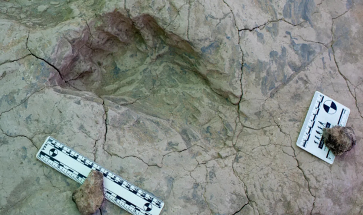 Impronte risalenti a 1,4 milioni di anni fa potrebbero rivoluzionare tutto quello che sappiano sui primi ominidi