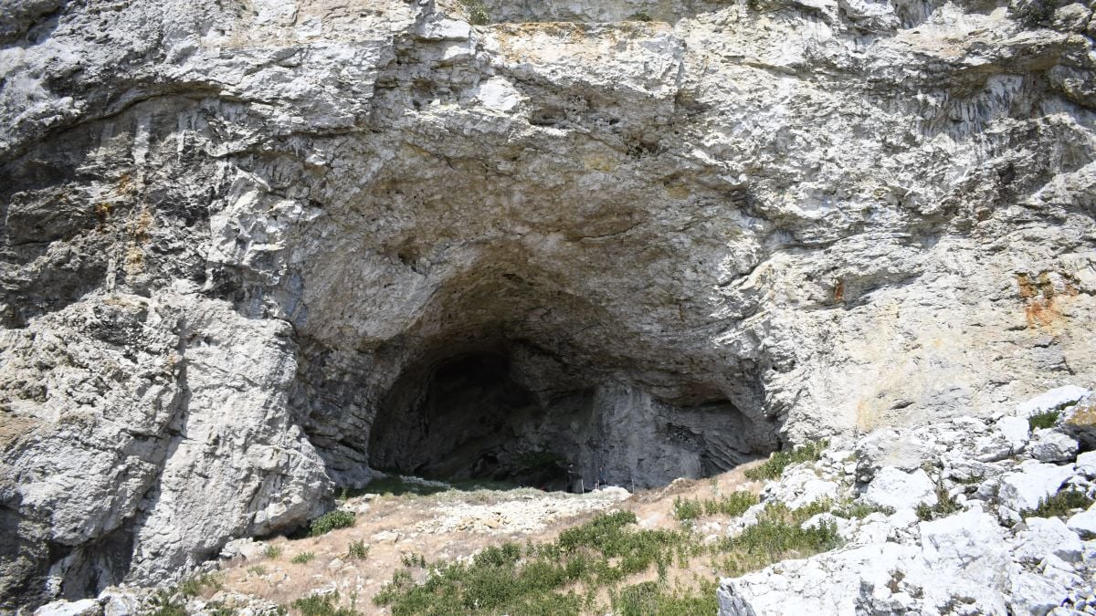 Scoperta in Svezia sepoltura di una giovane donna incinta risalente a 9.000 anni fa
