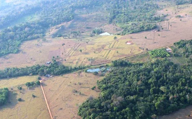 La mappa nascosta dell’Amazzonia: centinaia di strutture precolombiane riemergono dalla vegetazione