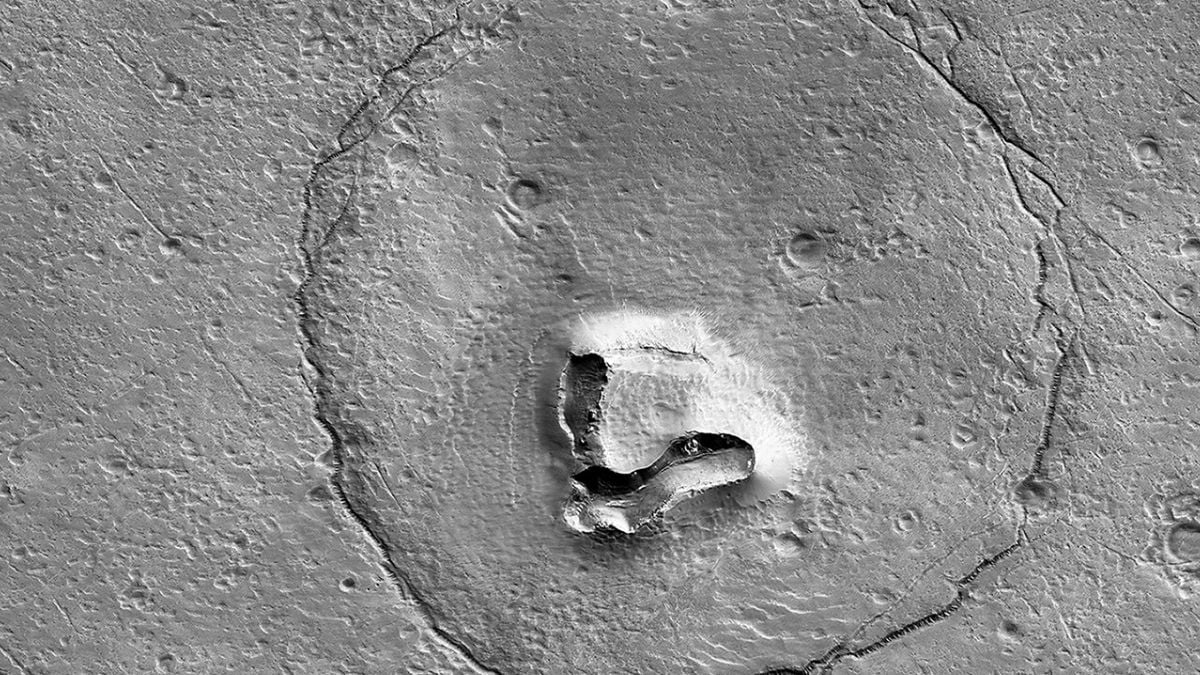 Gli astronomi hanno avvistato un “orso” su Marte