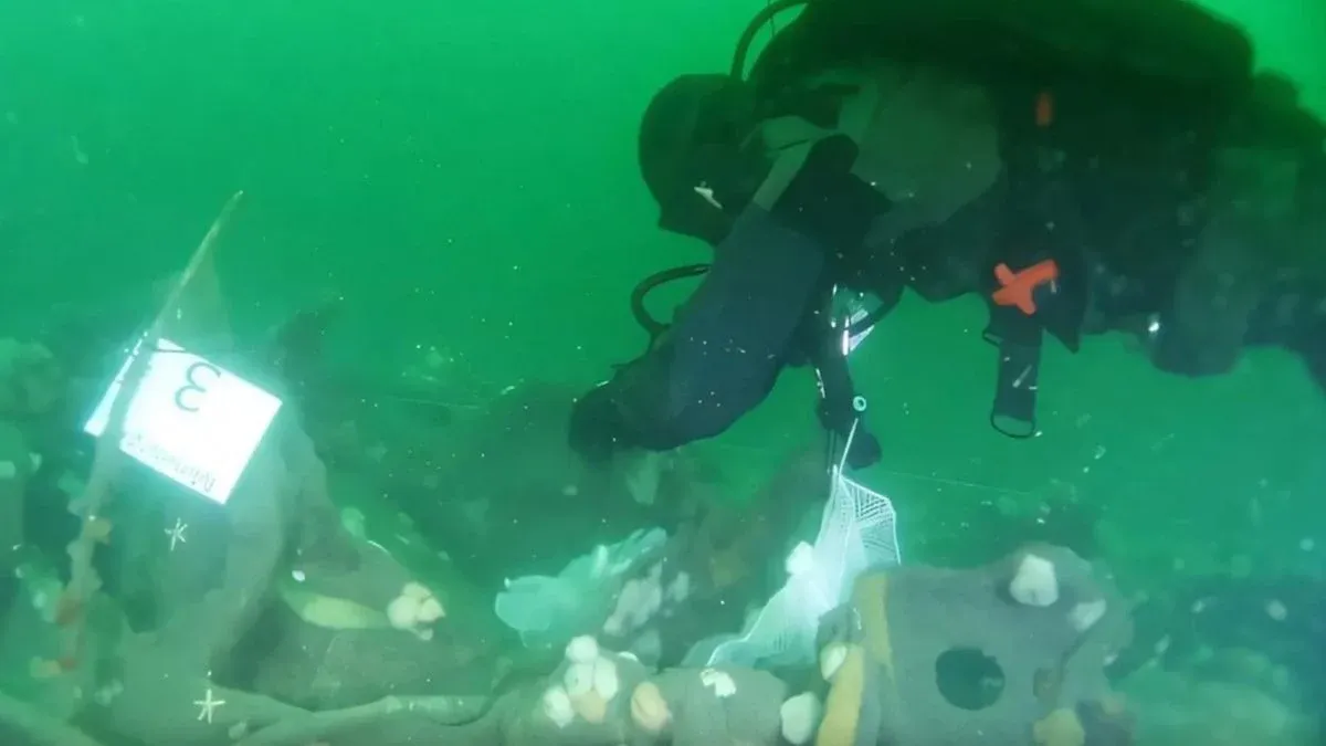Un relitto di un sottomarino della Prima Guerra Mondiale sta perdendo esplosivo nel Mare del Nord