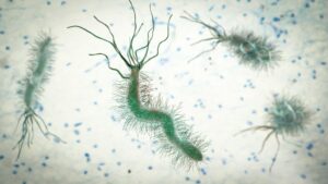 Solo 5 infezioni sono responsabili di oltre 2 milioni di nuovi casi di cancro ogni anno