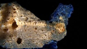 Plasticoralli in Giappone: la plastica fusa penetra lo scheletro dei coralli morti e crea un nuovo ibrido indistruttibile