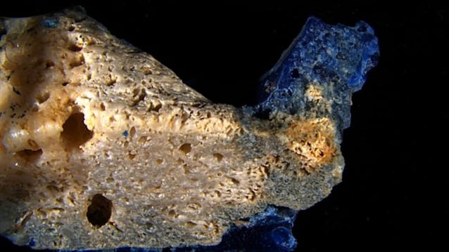 Plasticoralli in Giappone: la plastica fusa penetra lo scheletro dei coralli morti e crea un nuovo ibrido indistruttibile