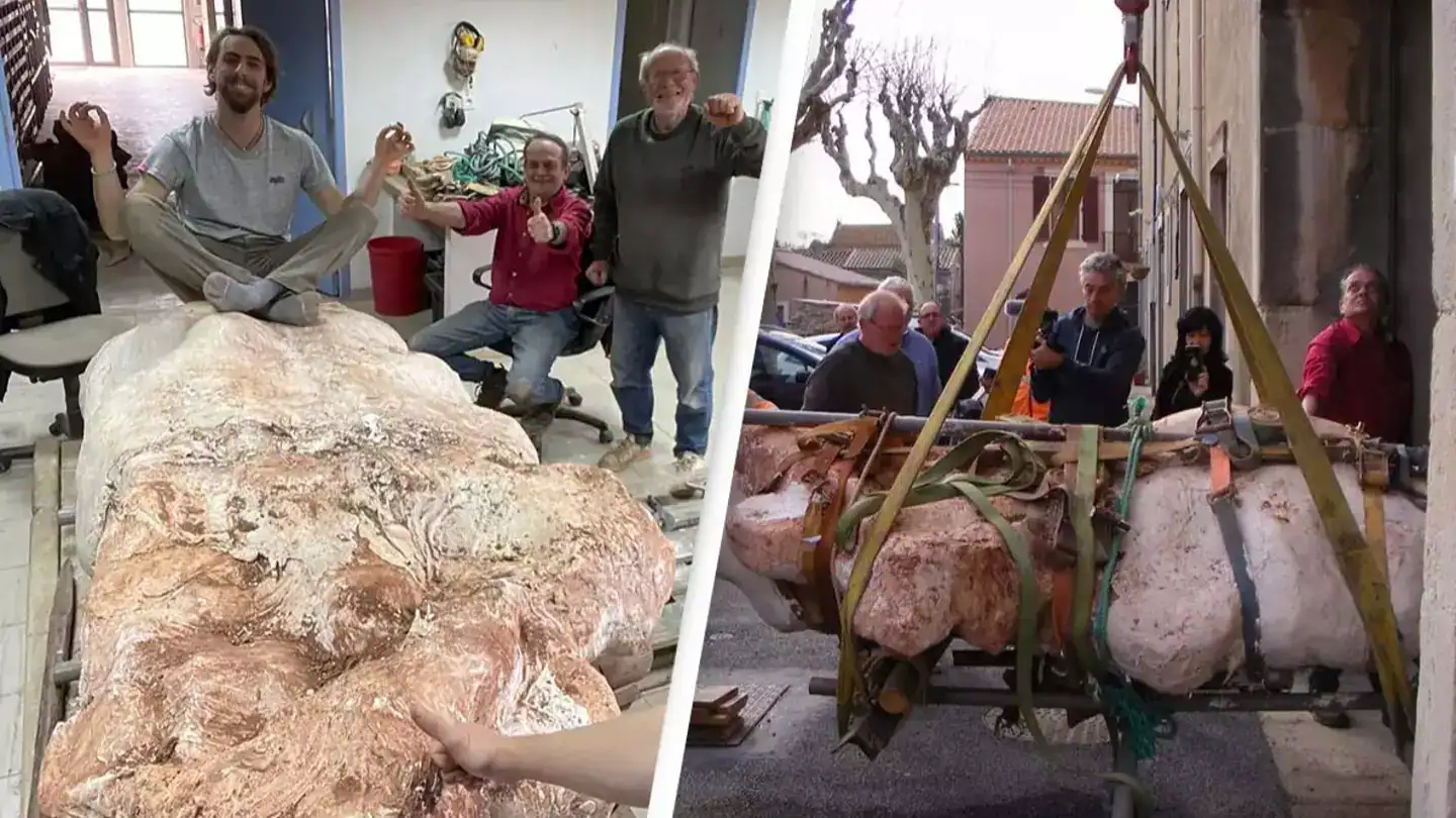 Il gigante di Montouliers: scoperto casualmente, in Francia, uno scheletro di titanosauro quasi completo