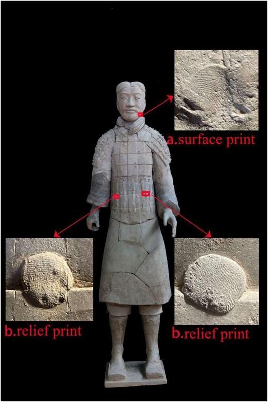 None Impronte digitali vecchie di 2.200 anni rivelano chi costruì davvero il misterioso esercito di terracotta cinese