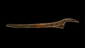 Un team di subacquei ha scoperto una costruzione risalente all’età della pietra nelle profondità di un lago tedesco