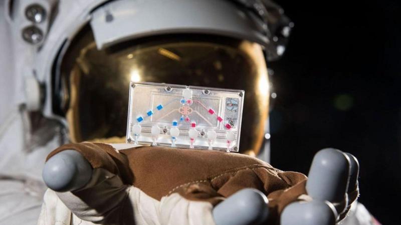 La ricerca della NASA sui chip di tessuto mira a esplorare gli effetti sulla salute umana e sulle malattie dei fattori di stress legati ai voli spaziali, come la microgravità e le radiazioni.