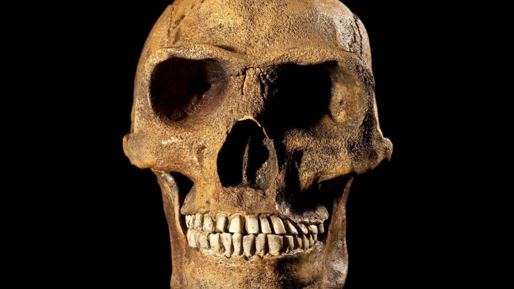 In Sudafrica l’Homo erectus potrebbe essere comparso 200.000 anni prima