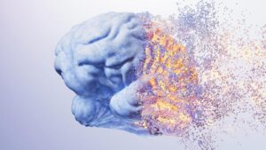 L’alcol non colpisce solo i neuroni: induce le cellule immunitarie a distruggere la matrice strutturale del cervello, secondo uno studio sui topi